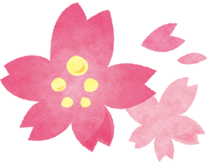 朝顔 一輪の花 3種 の無料フリーイラスト 咲くっとイラスト さくっといらすと