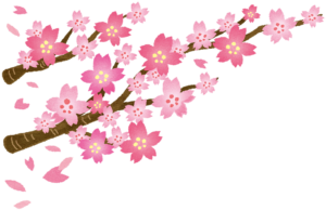 桜の花びらの無料フリーイラスト 咲くっとイラスト さくっといらすと