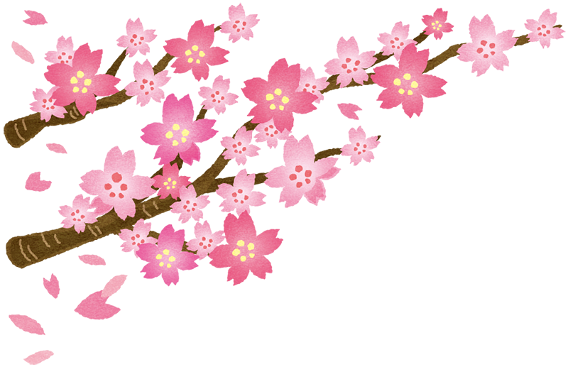 桜の枝の無料フリーイラスト | 咲くっとイラスト（さくっといらすと）