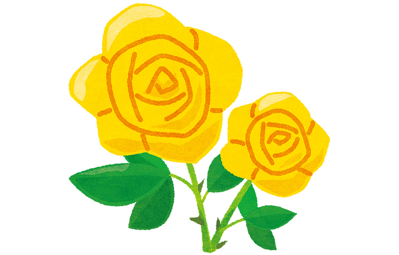 黄色いバラの無料フリーイラスト 咲くっとイラスト さくっといらすと